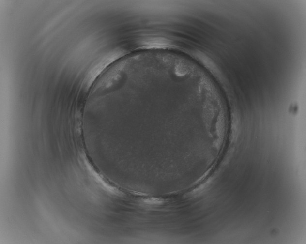 X0000112831329200909111348