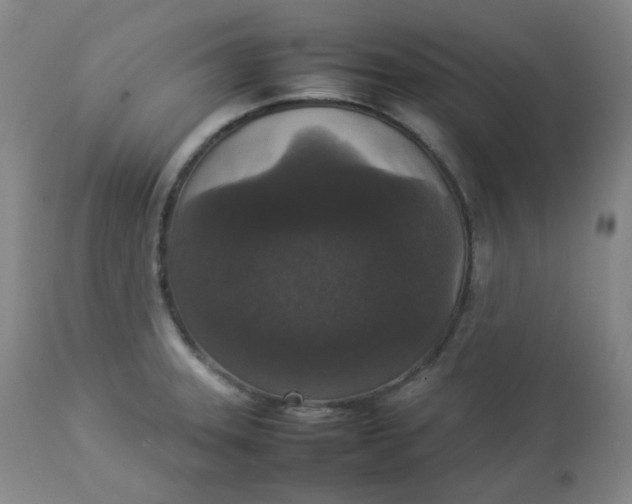 X0000112831331200909111348