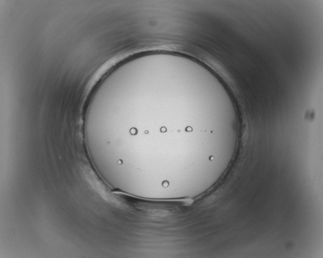 X0000112831332200909111348