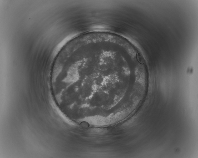 X0000112831333200909111348