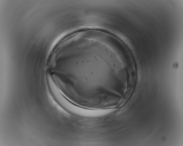 X0000112831334200909111348