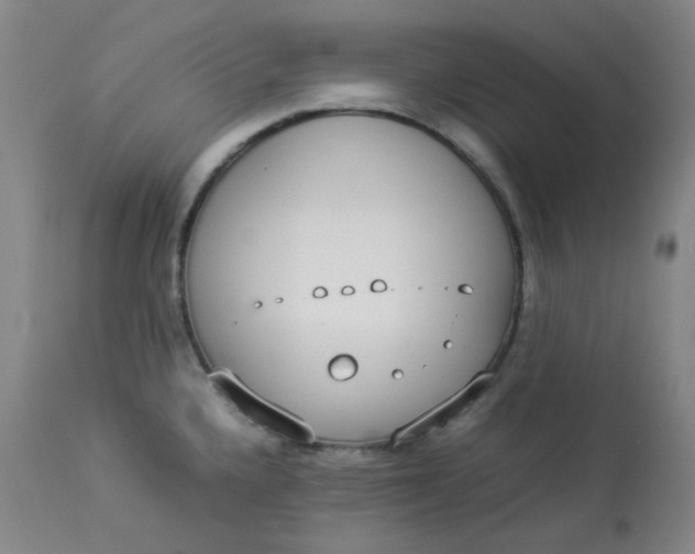 X0000112831336200909111348