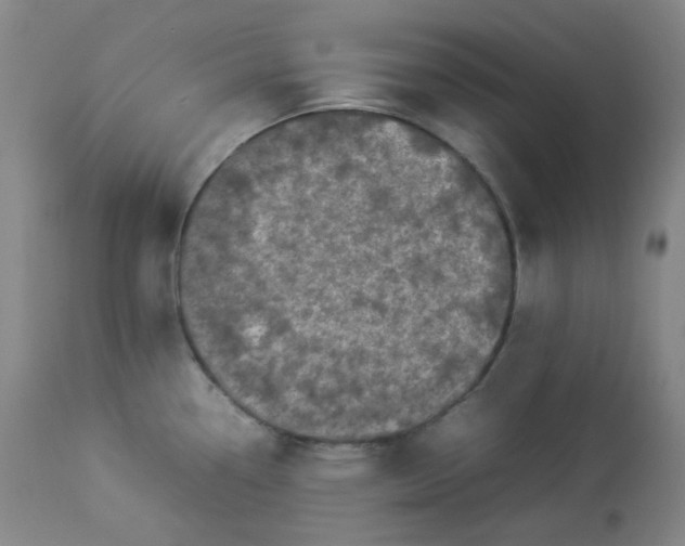 X0000112831338200909111348