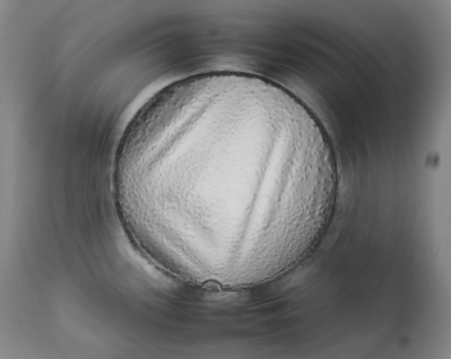 X0000112831339200909111348