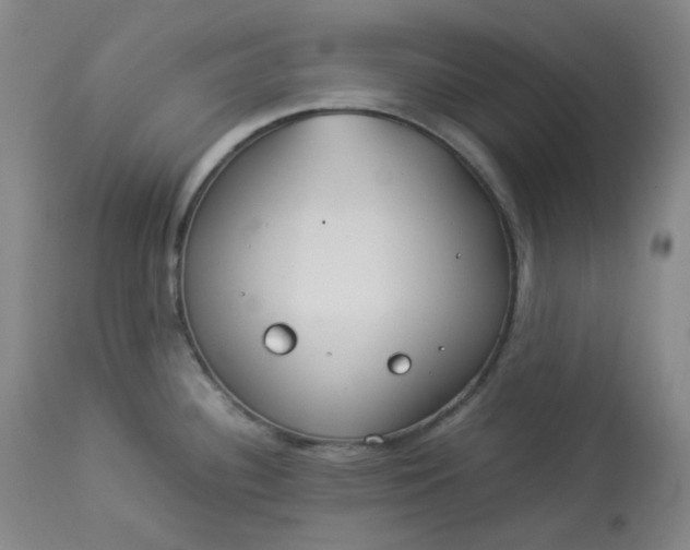 X0000112831340200909111348