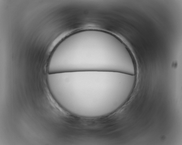 X0000112831341200909111348