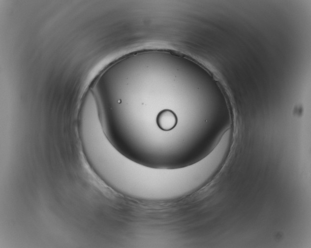 X0000112831342200909111348