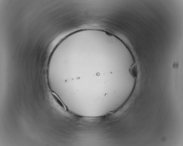 X0000112831344200909111348