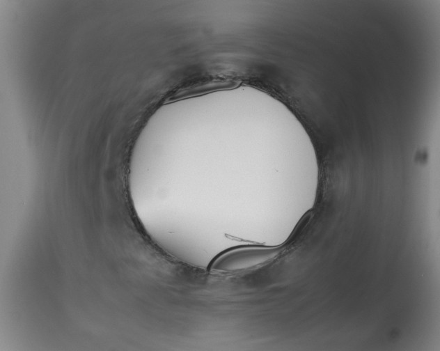 X0000112831345200909111347