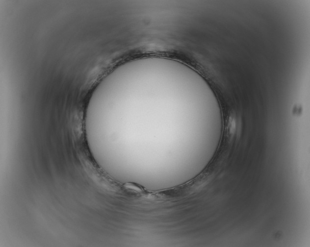 X0000112831348200909111347