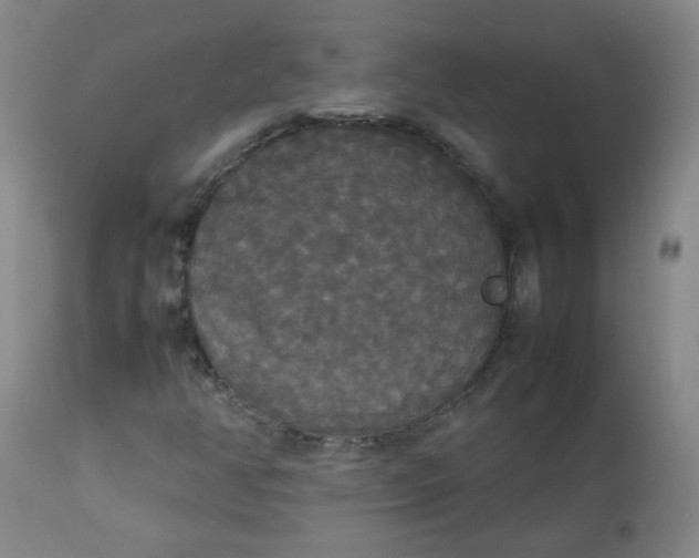 X0000112831350200909111347