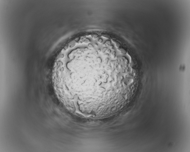 X0000112831351200909111347