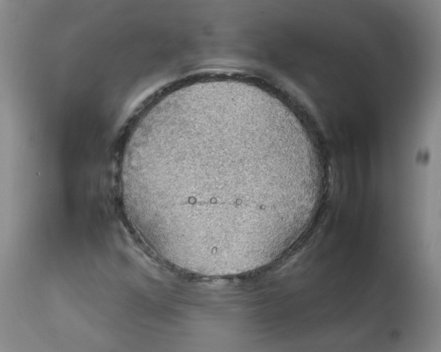 X0000112831352200909111347