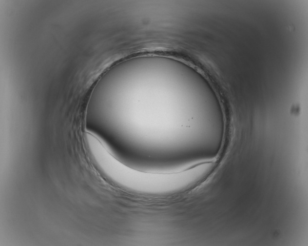 X0000112831353200909111347