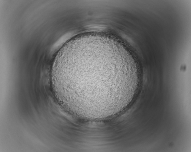 X0000112831354200909111347