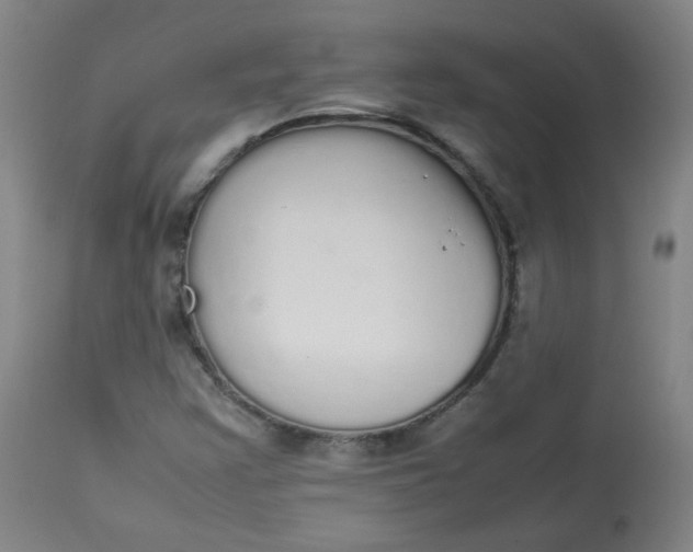 X0000112831355200909111347