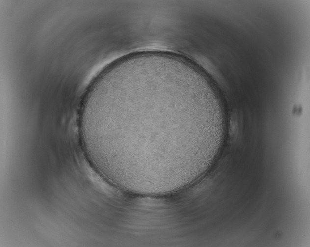 X0000112831356200909111347