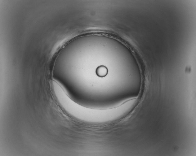 X0000112831357200909111347