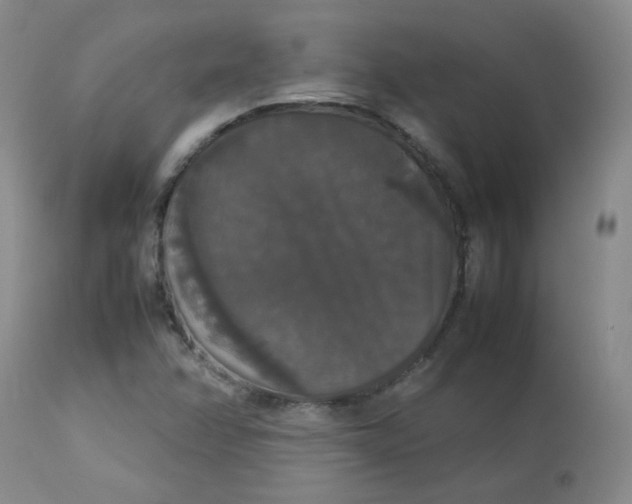 X0000112831358200909111347