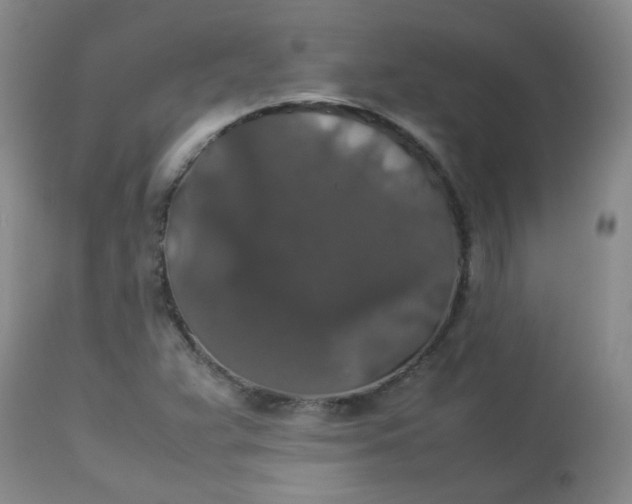 X0000112831359200909111347