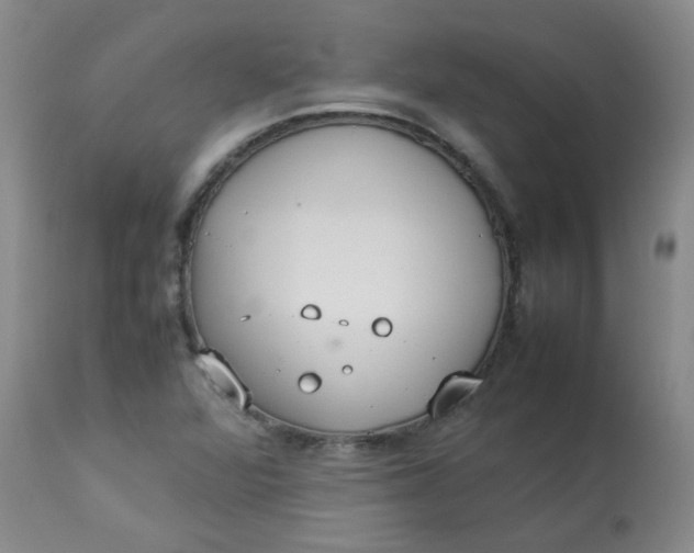 X0000112831360200909111347