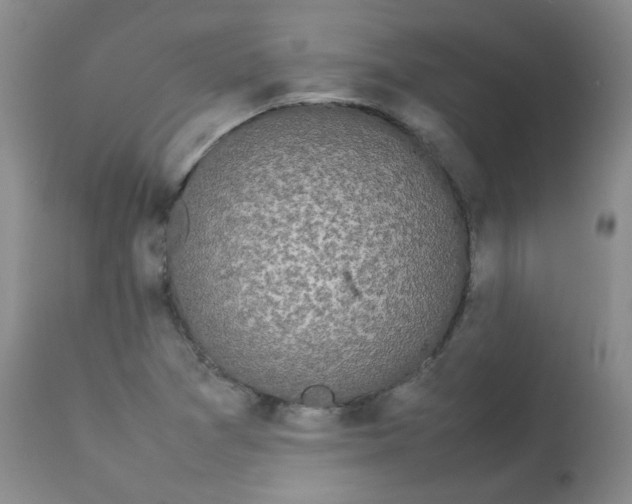 X0000112831361200909111347