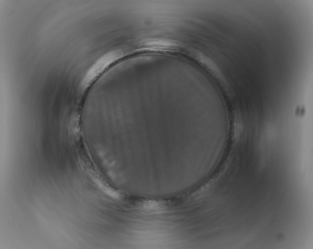 X0000112831362200909111347