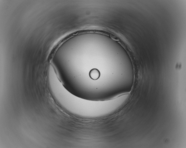 X0000112831364200909111347