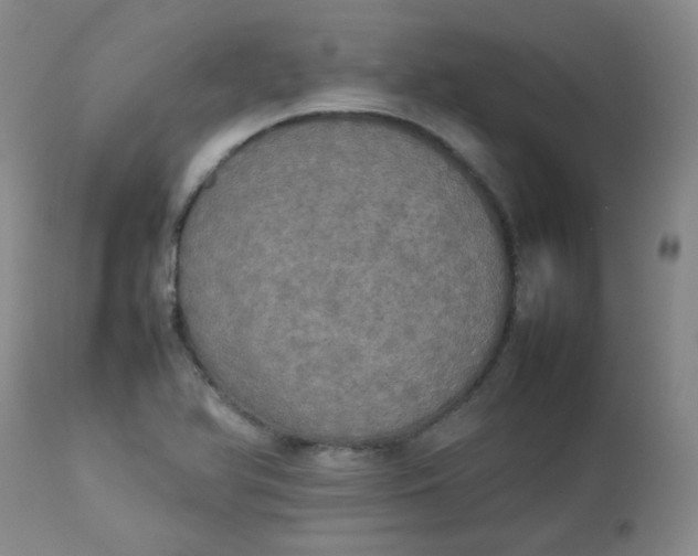 X0000112831366200909111347