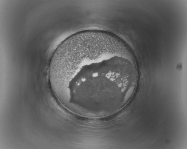 X0000112831367200909111347