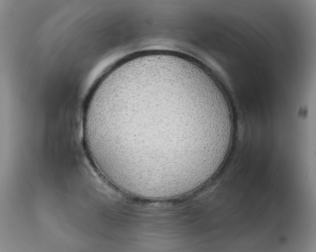 X0000112831368200909111347