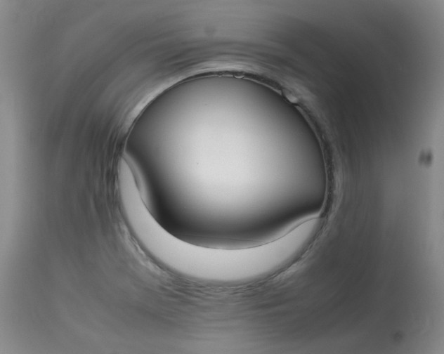 X0000112831369200909111347