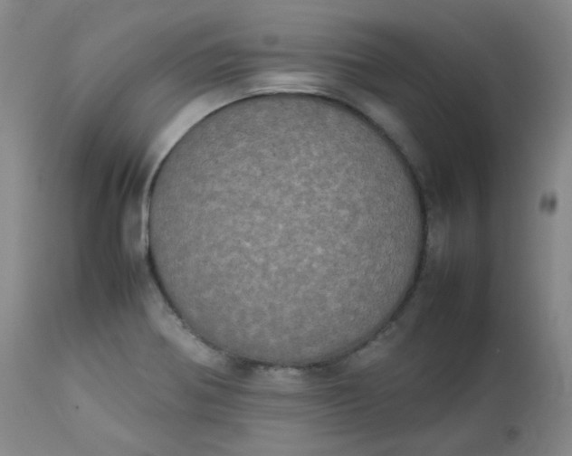 X0000112831370200909111347