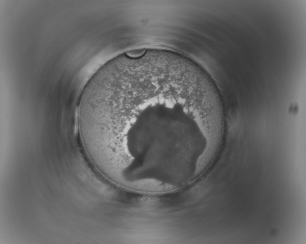 X0000112831371200909111347