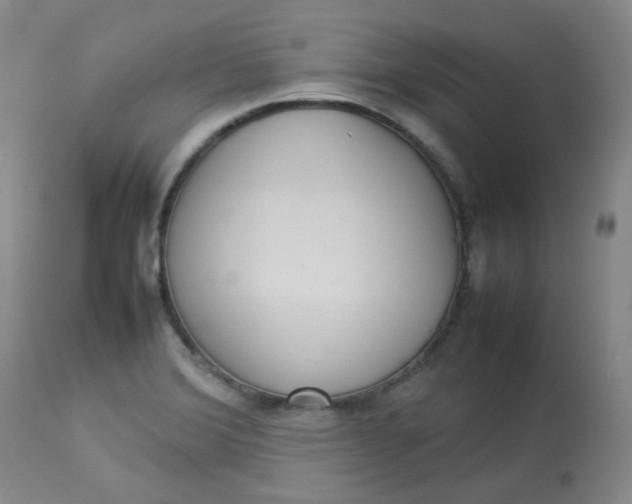 X0000112831372200909111347