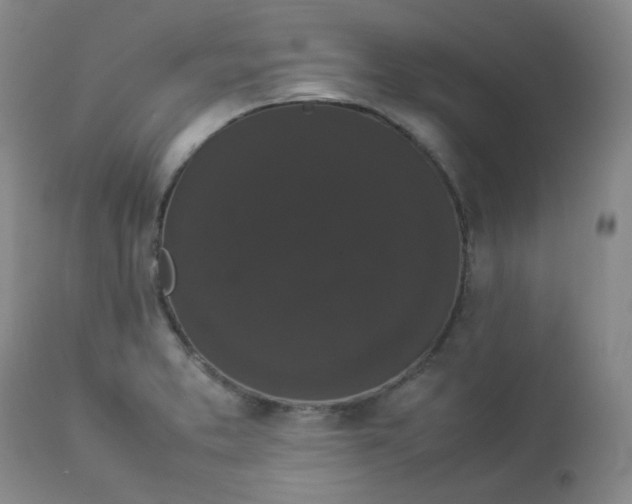 X0000112831373200909111347