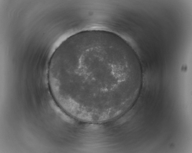 X0000112831374200909111347