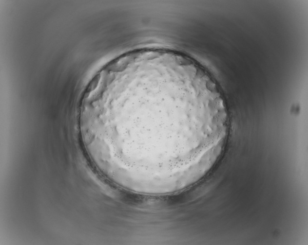 X0000112831375200909111347