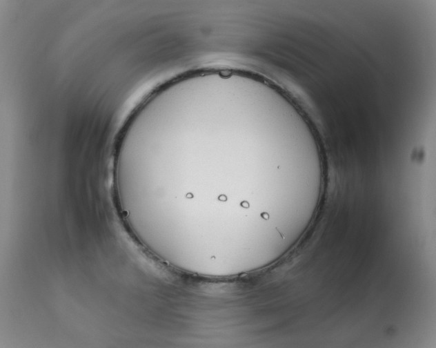 X0000112831376200909111347