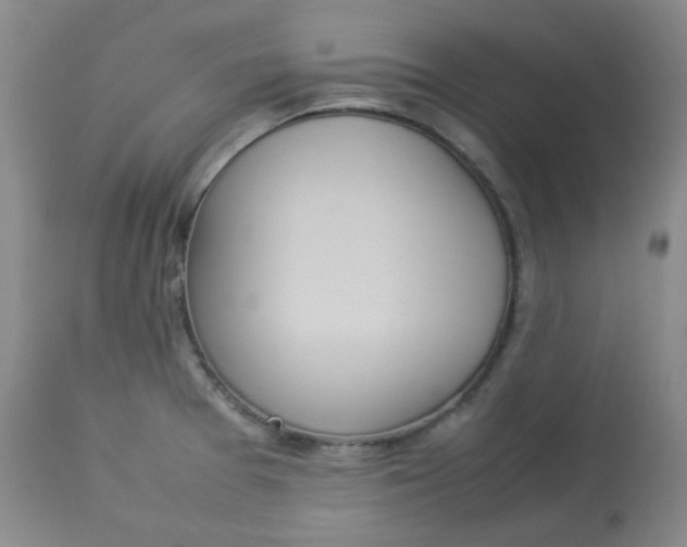 X0000112831377200909111347