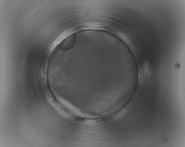 X0000112831378200909111347