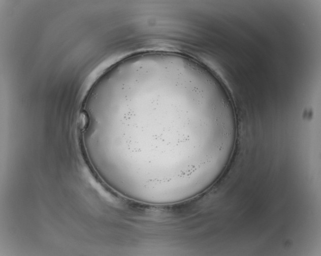 X0000112831379200909111347