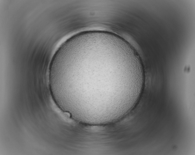 X0000112831380200909111347