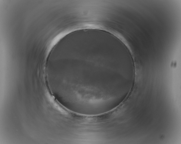 X0000112831381200909111347