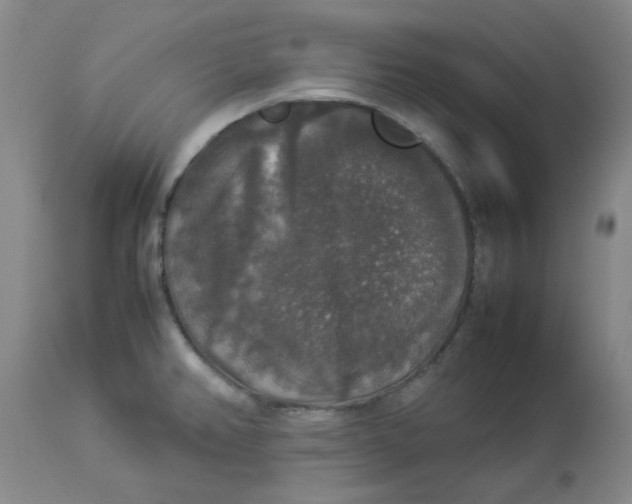 X0000112831382200909111347