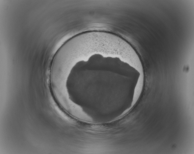 X0000112831383200909111347