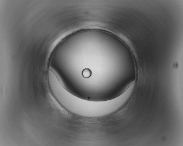 X0000112831384200909111347