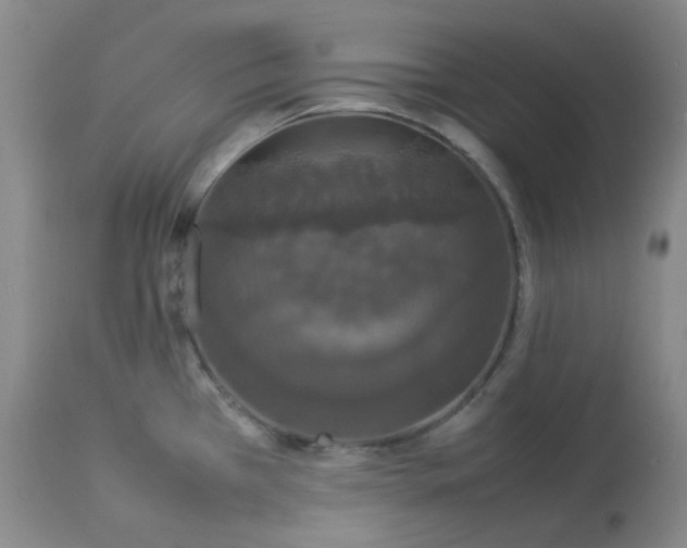 X0000112831385200909111347