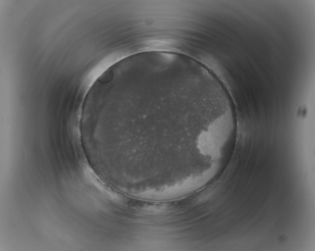 X0000112831386200909111347