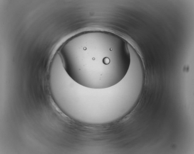 X0000112831388200909111347